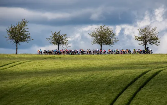 Gesundheitsvorsorge Radrennen
