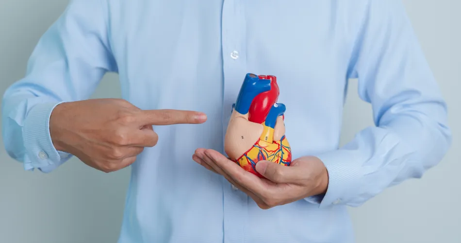 Kardiologie